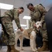 Air Force Mortuary Affairs Operations therapy dog in training