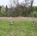 NJ ARNG 508th Military Police Company Site and Drone Exploitation Training, 7 April 2023.