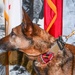 Security Forces Military Working Dog K9 Mika Retires 10 April 2023 JBSA-Lackland