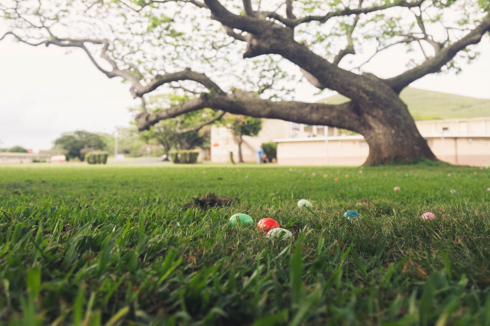 MCBH HQBN Spring Egg-Stravaganza