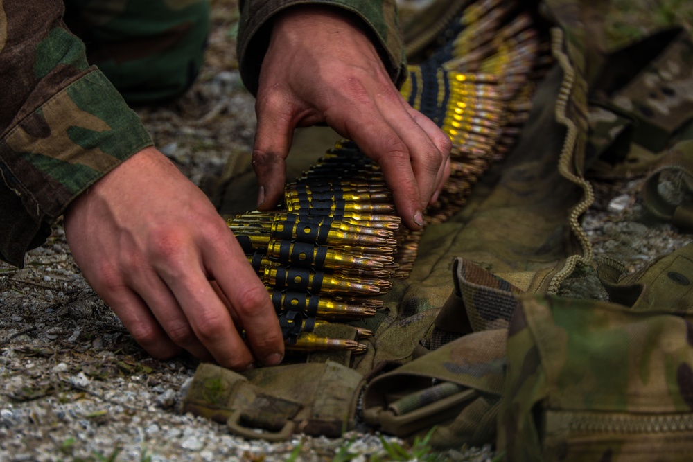 Dutch Marines Conduct a Simulated Social Patrol