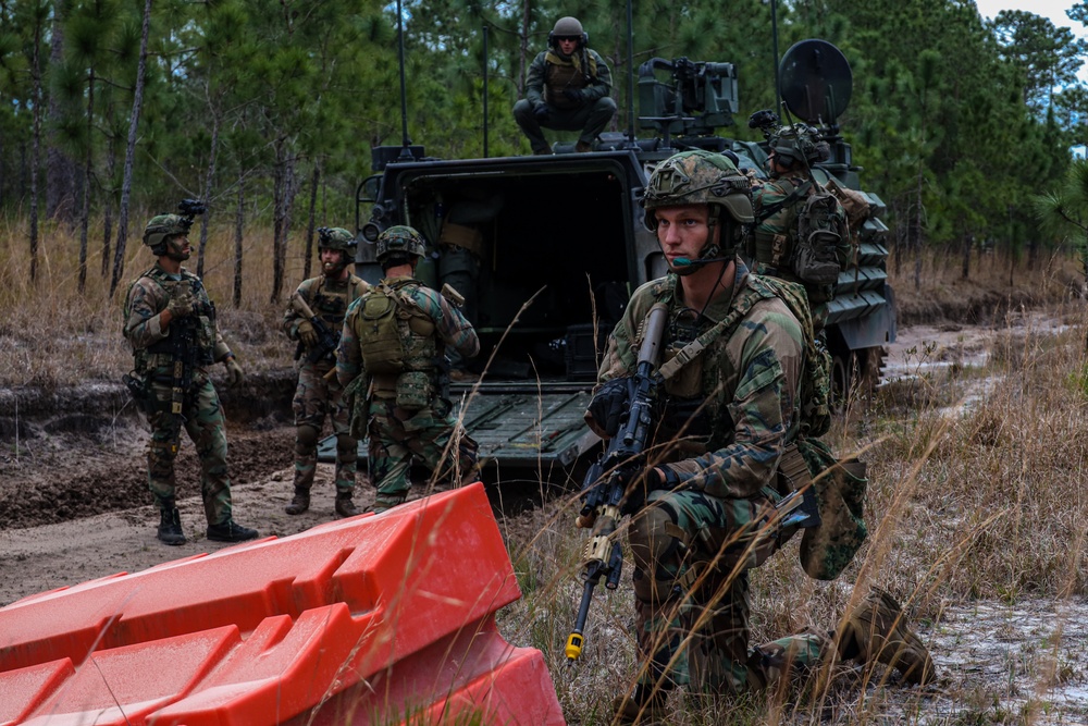 Dutch Marines Conduct a Simulated Social Patrol