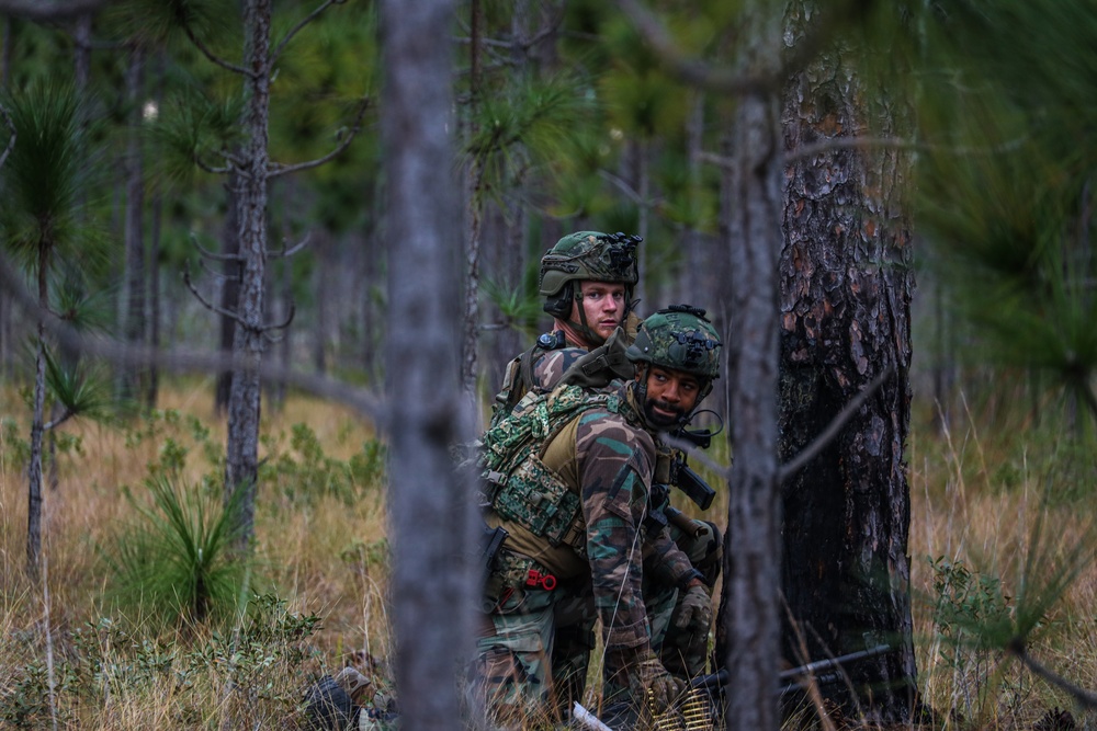 Dutch Marines Conduct a Simulated Social Patrol