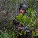Dutch Marines Conduct a Simulated Social Patrol