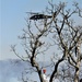 Wisconsin Army National Guard UH-60 Black Hawk crew holds 2023 Bambi bucket training at Fort McCoy