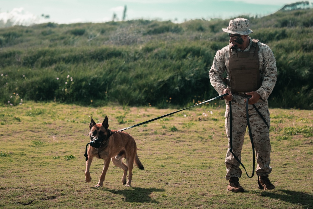 MCAS Corporals Course 2-23 Beach Assault