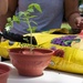 Andersen AFB USO hosts gardening event