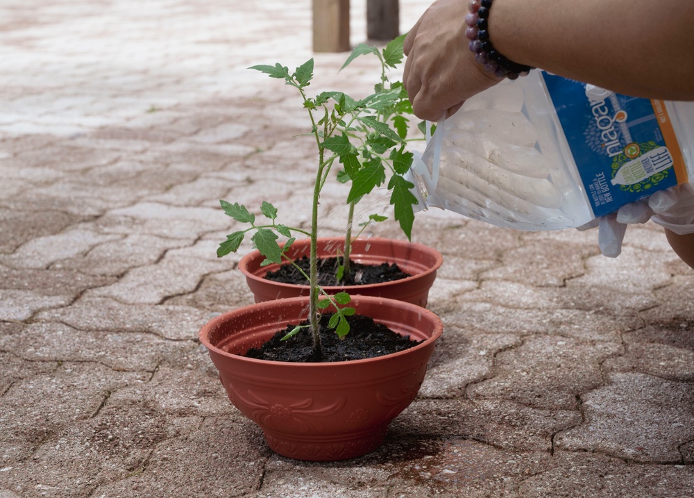 Andersen AFB USO hosts gardening event