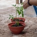 Andersen AFB USO hosts gardening event