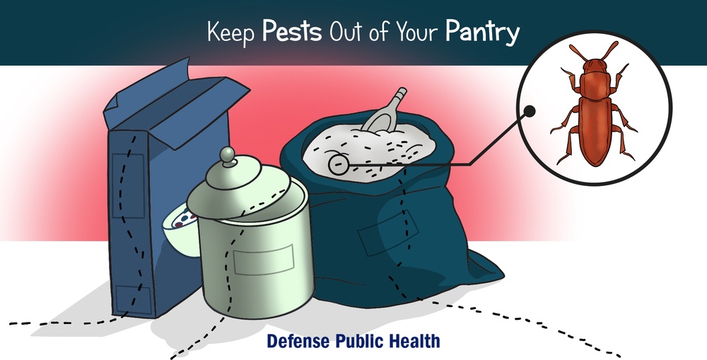 Defense Public Health expert offers tips for eliminating pesky pantry pests