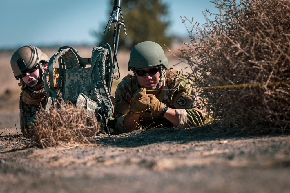 Problem-Solvers: Washington National Guard EOD techs train in Pasco