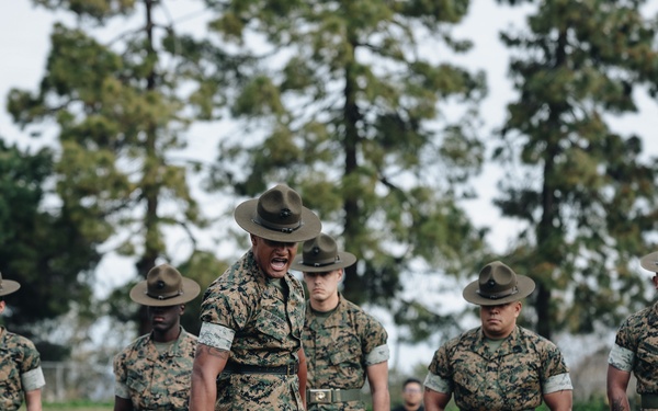 RS San Francisco: Pool Function