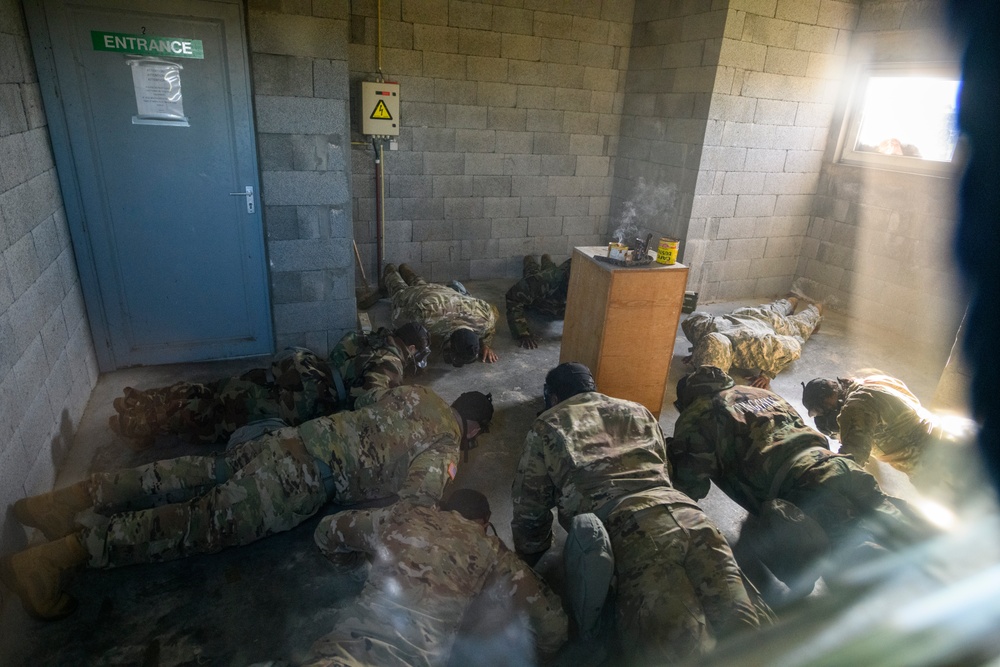 HHC and B Co AFNORTH Bn Mask Confidence Training