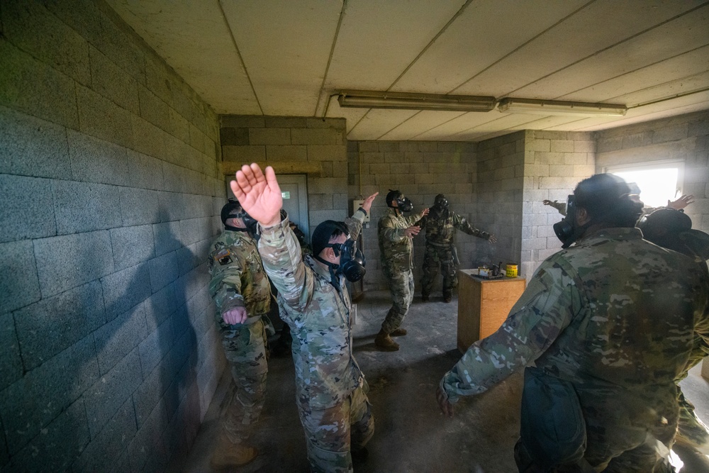 HHC and B Co AFNORTH Bn Mask Confidence Training