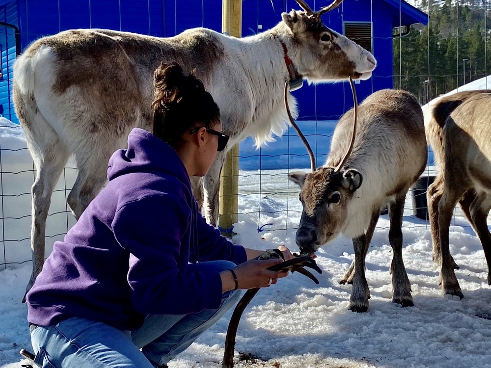 Marines and Sailors Volunteer at Local Sami School