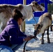 Marines and Sailors Volunteer at Local Sami School