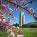 Spring is Blooming Around Walter Reed!
