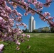 Spring is Blooming Around Walter Reed!