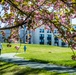 Spring is Blooming Around Walter Reed!