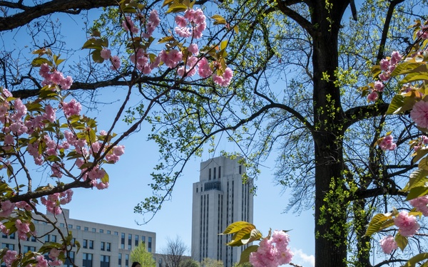 Walter Reed Receives Top "A" Grade for Patient Safety from Leapfrog Group