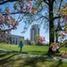 Spring is Blooming Around Walter Reed!