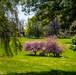 Spring is Blooming Around Walter Reed!