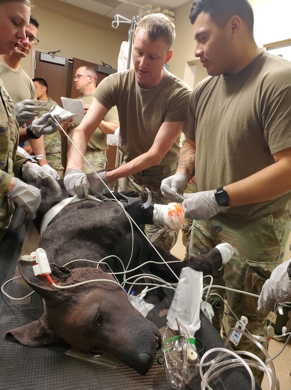 WBAMC Simulation lab brings real-time training for K9 intervention