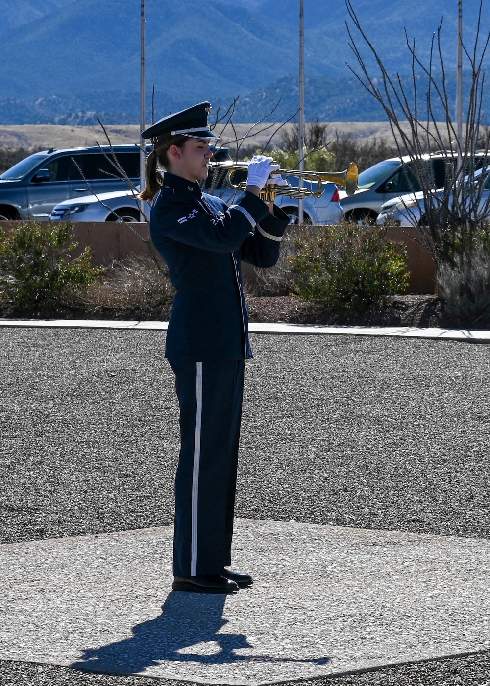 Band Supports Memorial for Tuscon Hero