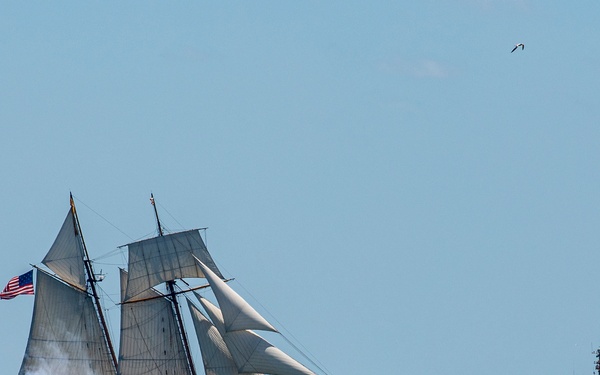 Tall Ships Challenge Galveston 2023