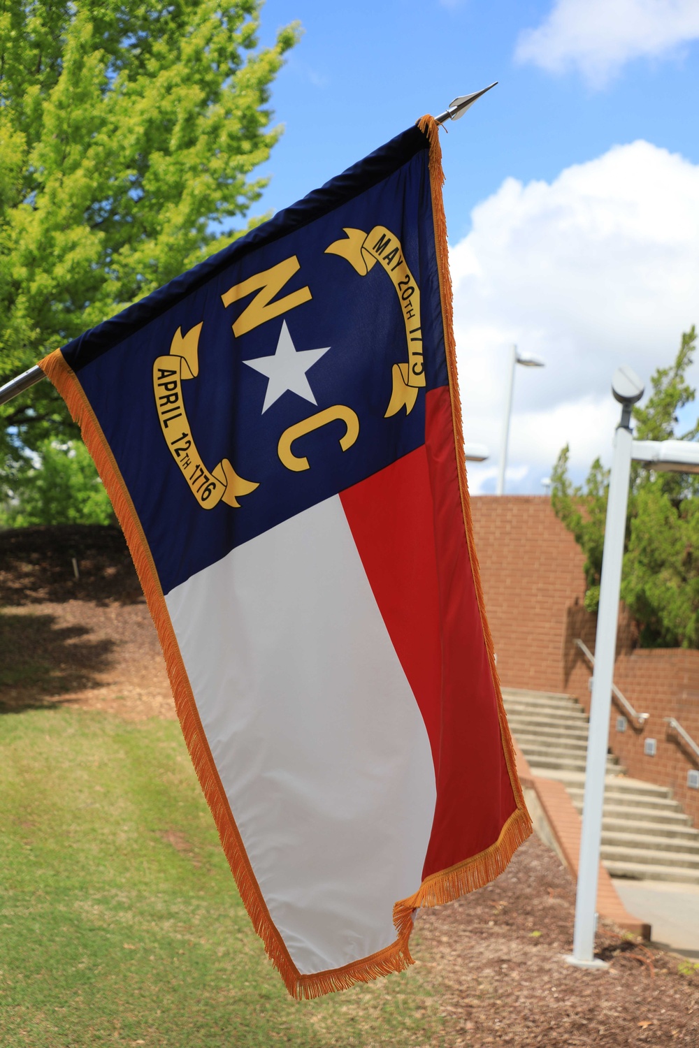 North Carolina's State Partner Flags