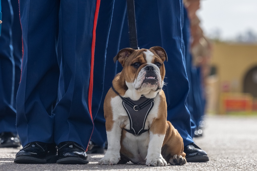 Bruno Graduation