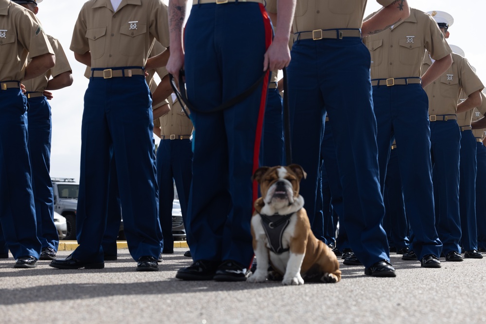 Bruno Graduation