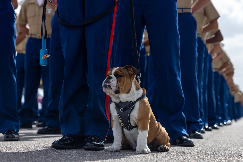 Bruno Graduation