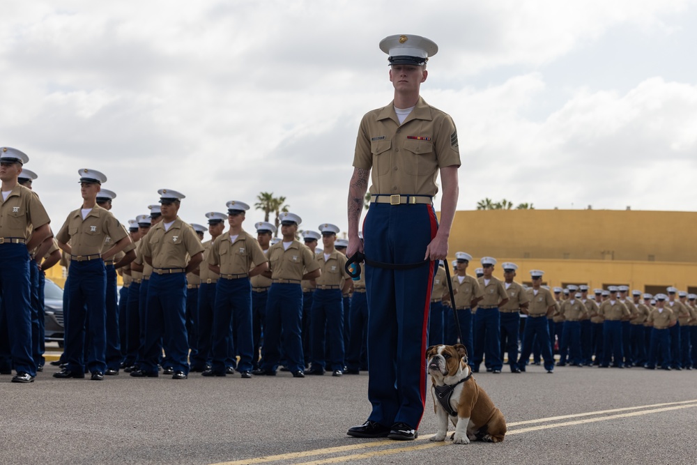 Bruno Graduation