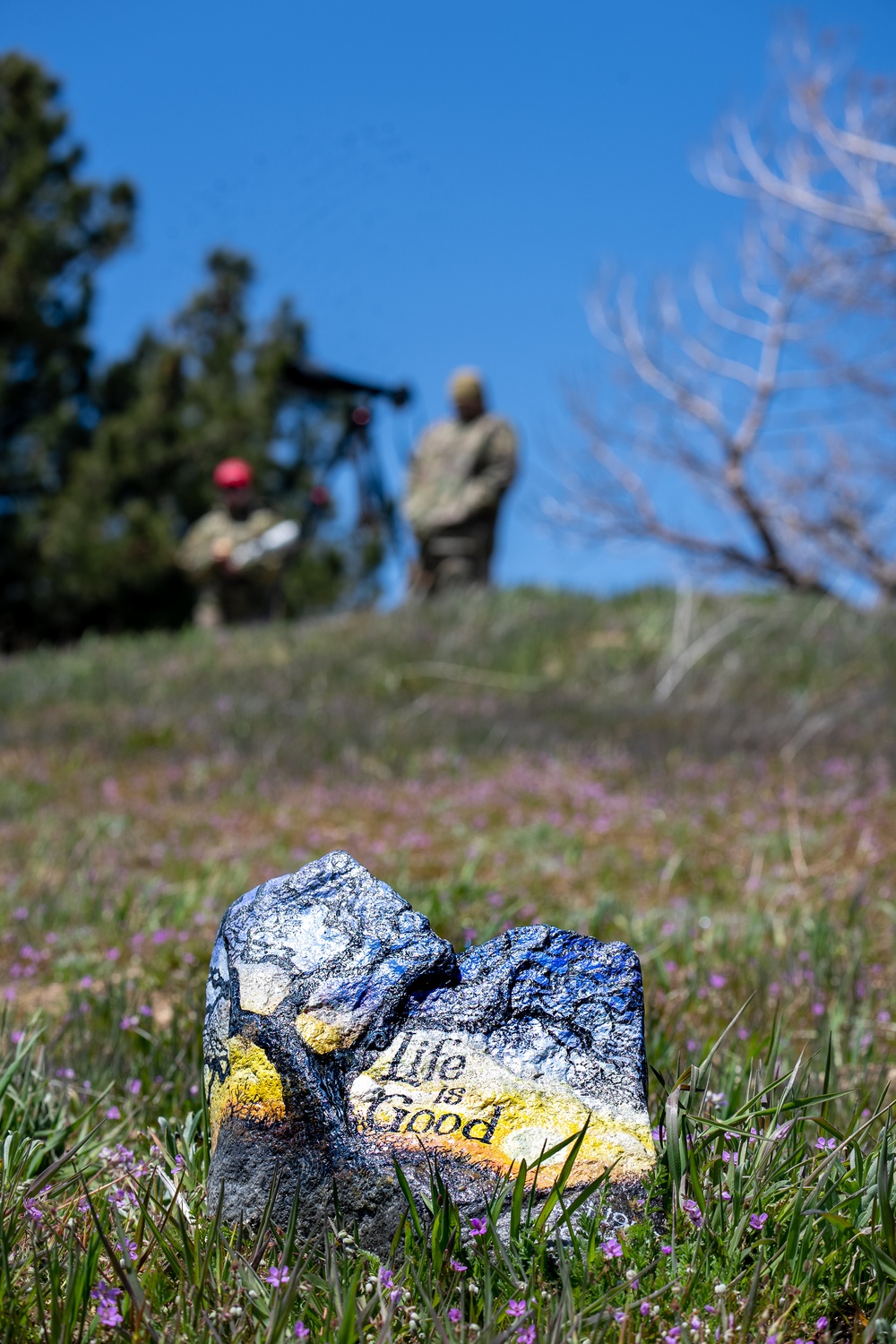 A painted rock atop a hill near Green Valley, Calif. April 14, 2023