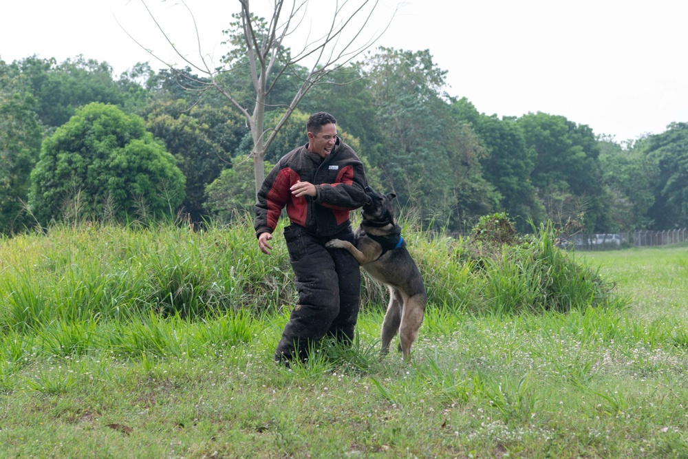 USAF and PAF Military Working Dog Demonstration