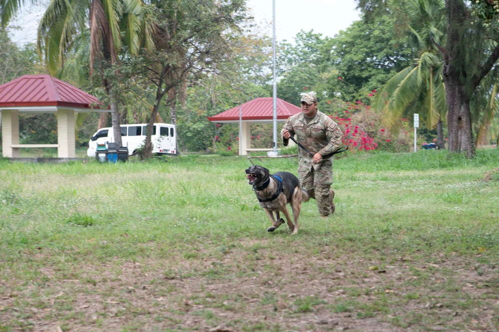 USAF and PAF Military Working Dog Demonstration