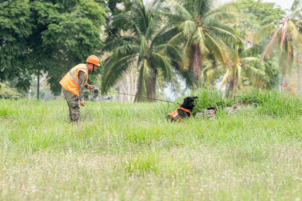 USAF and PAF Military Working Dog Demonstration