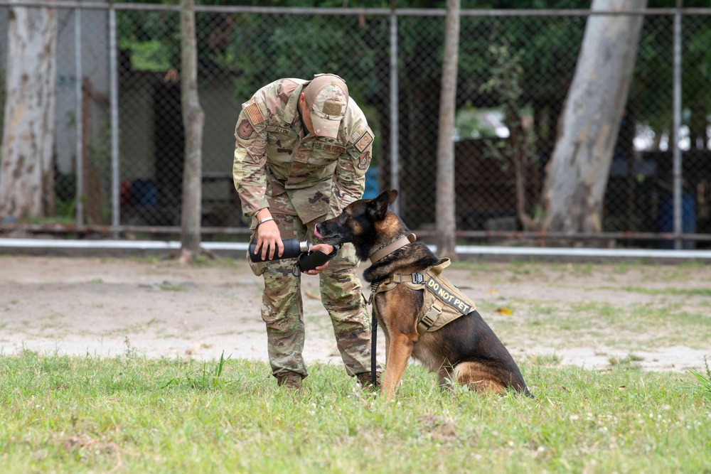 USAF and PAF Military Working Dog Demonstration