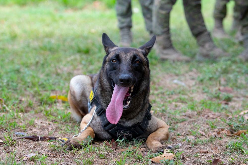 USAF and PAF Military Working Dog Demonstration