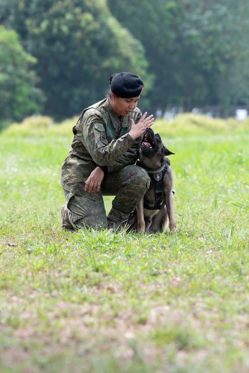 USAF and PAF Military Working Dog Demonstration