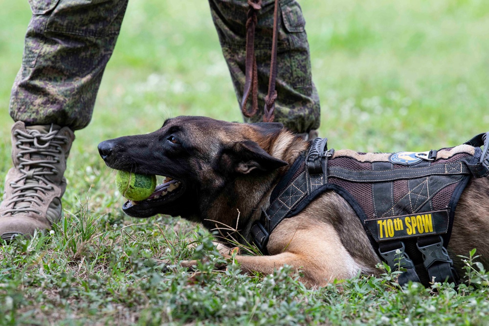 USAF and PAF Military Working Dog Demonstration