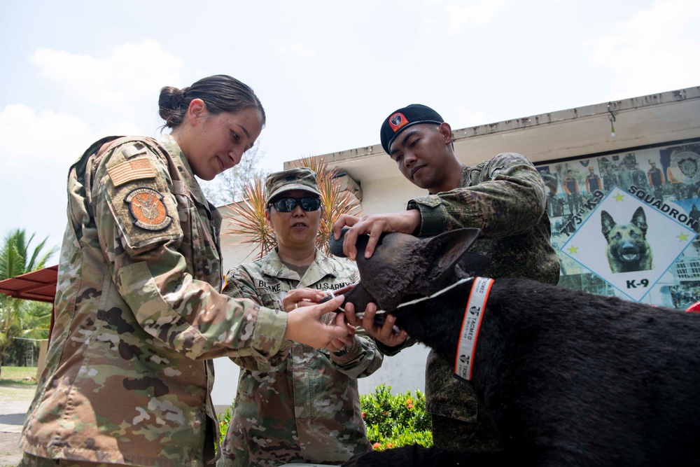 USAF and PAF Military Working Dog Demonstration