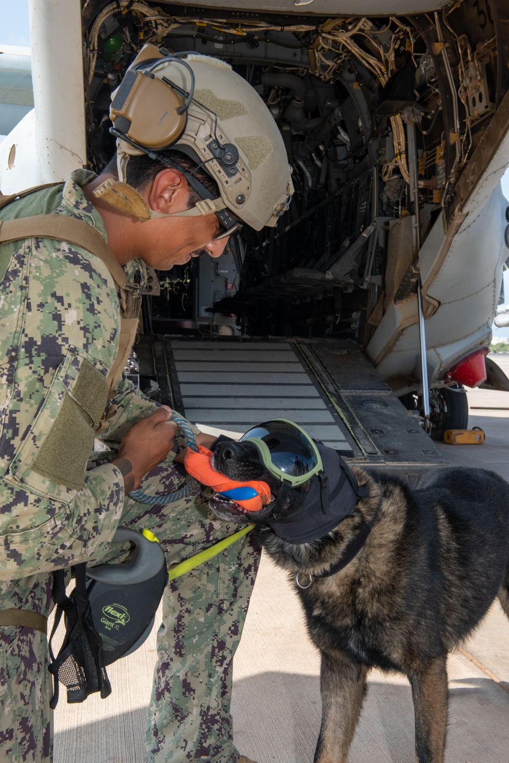 MV-22B Osprey familiarization training for CLDJ's Military Working Dogs