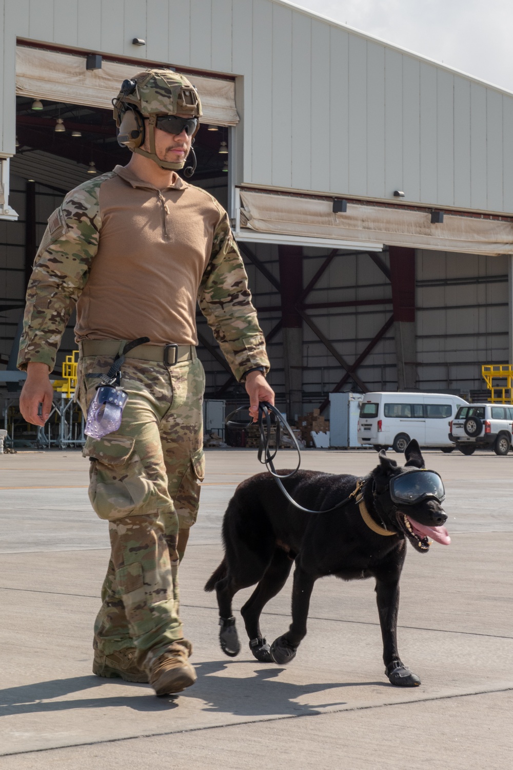 MV-22B Osprey familiarization training for CLDJ's Military Working Dogs