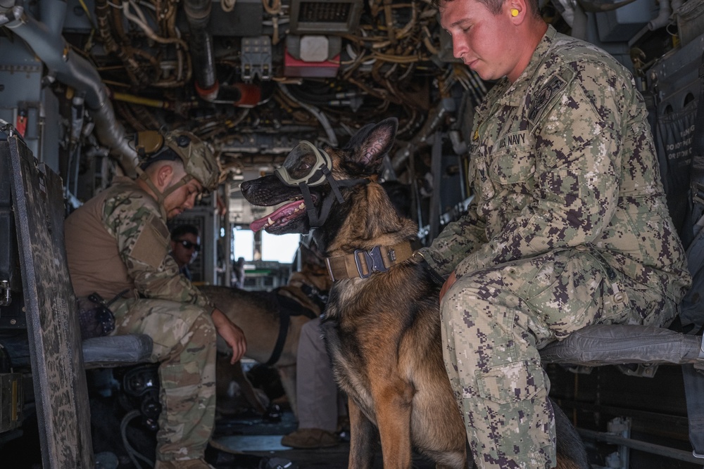 MV-22B Osprey familiarization training for CLDJ's Military Working Dogs