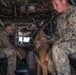 MV-22B Osprey familiarization training for CLDJ's Military Working Dogs