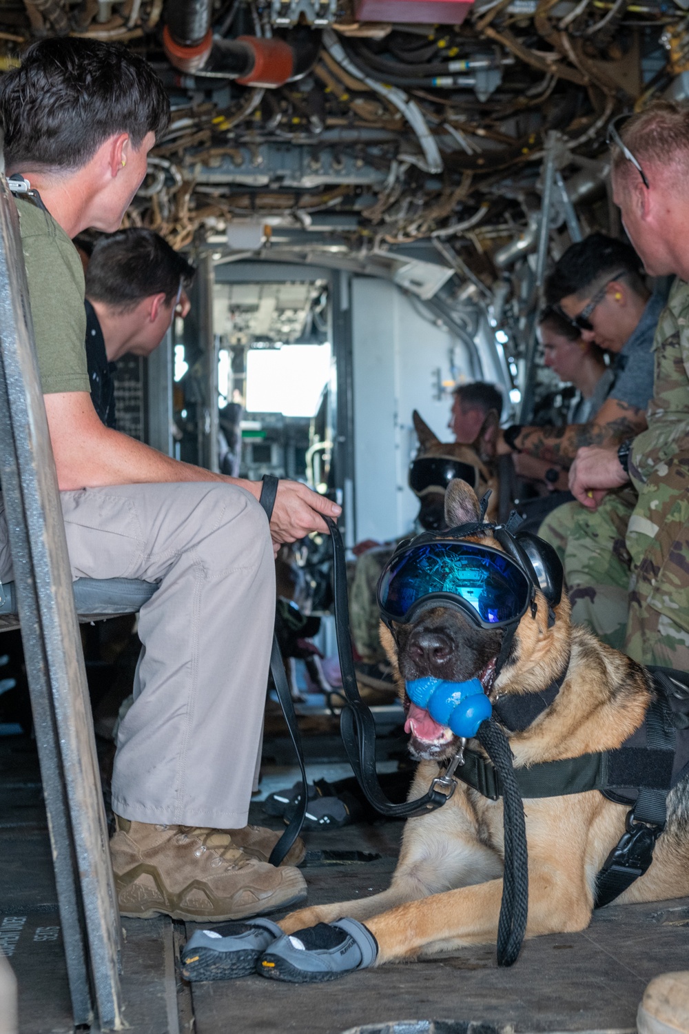 MV-22B Osprey familiarization training for CLDJ's Military Working Dogs