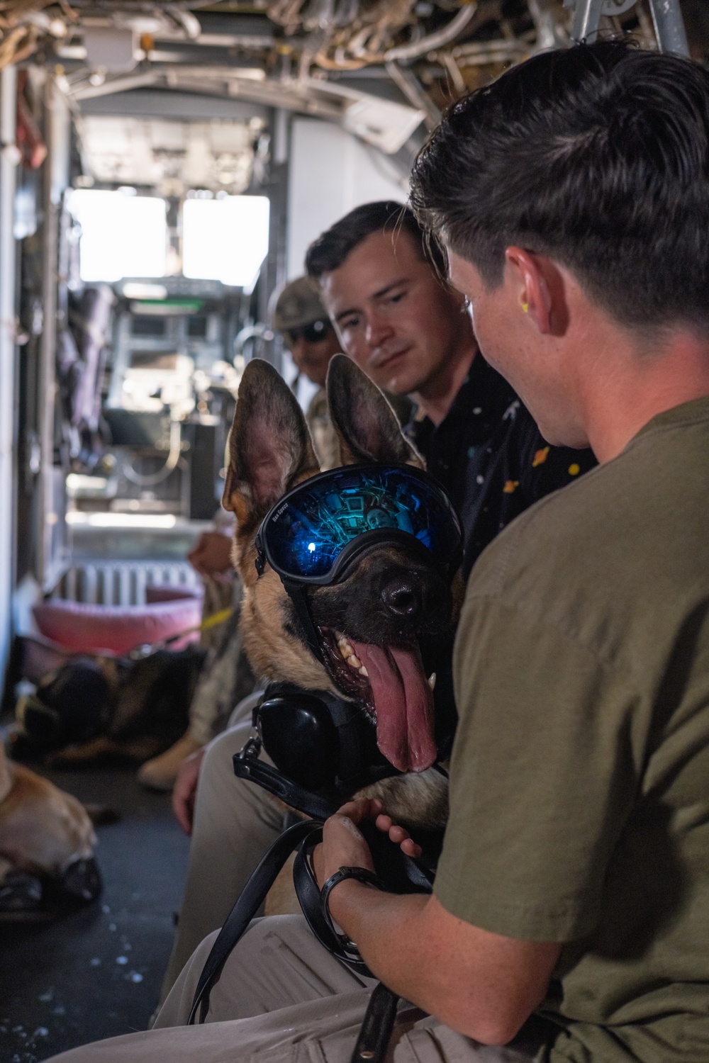 MV-22B Osprey familiarization training for CLDJ's Military Working Dogs