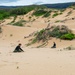 Pacific Missile Range Facility (PMRF) Hosts Hālau Hula at Nohili Dunes